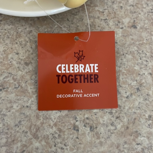 Cat and dog in a cup fall decorative accent new - Picture 4 of 4